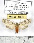  ( - MILA 1032)  @13 [ ] Copyright (2010) Unspecified The Research Collection of Michel Laguerre