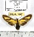  ( - MILA 1047)  @13 [ ] Copyright (2010) Unspecified The Research Collection of Michel Laguerre