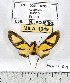  ( - MILA 1049)  @12 [ ] Copyright (2010) Unspecified The Research Collection of Michel Laguerre
