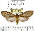  ( - MILA 1059)  @13 [ ] Copyright (2010) Unspecified The Research Collection of Michel Laguerre