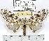  ( - MILA 1077)  @14 [ ] Copyright (2010) Unspecified The Research Collection of Michel Laguerre