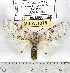  ( - MILA 1078)  @11 [ ] Copyright (2010) Unspecified The Research Collection of Michel Laguerre