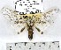  ( - MILA 1080)  @11 [ ] Copyright (2010) Unspecified The Research Collection of Michel Laguerre