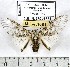  ( - MILA 1081)  @13 [ ] Copyright (2010) Unspecified The Research Collection of Michel Laguerre