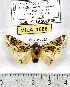  ( - MILA 1086)  @13 [ ] Copyright (2010) Unspecified The Research Collection of Michel Laguerre