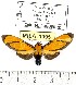  ( - MILA 1093)  @13 [ ] Copyright (2010) Unspecified The Research Collection of Michel Laguerre