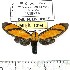  ( - MILA 1094)  @13 [ ] Copyright (2010) Unspecified The Research Collection of Michel Laguerre