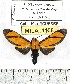  ( - MILA 1108)  @13 [ ] Copyright (2010) Unspecified The Research Collection of Michel Laguerre