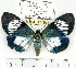  ( - MILA 1110)  @14 [ ] Copyright (2010) Unspecified The Research Collection of Michel Laguerre
