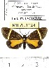  ( - MILA 1124)  @13 [ ] Copyright (2010) Unspecified The Research Collection of Michel Laguerre