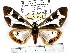  ( - MILA 1128)  @14 [ ] Copyright (2010) Unspecified The Research Collection of Michel Laguerre