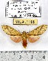  ( - MILA 1166)  @15 [ ] Copyright (2010) Unspecified The Research Collection of Michel Laguerre