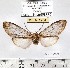  ( - MILA 1204)  @12 [ ] Copyright (2010) Unspecified The Research Collection of Michel Laguerre
