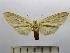  ( - BEVI1524)  @13 [ ] No Rights Reserved (2012) Benoit Vincent Research Collection of Benoit Vincent