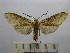  ( - BEVI1527)  @14 [ ] No Rights Reserved (2012) Benoit Vincent Research Collection of Benoit Vincent