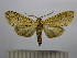  ( - BEVI1528)  @14 [ ] No Rights Reserved (2012) Benoit Vincent Research Collection of Benoit Vincent