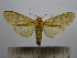 ( - BEVI1540)  @13 [ ] No Rights Reserved (2012) Benoit Vincent Research Collection of Benoit Vincent
