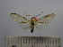  ( - BEVI1561)  @13 [ ] No Rights Reserved (2012) Benoit Vincent Research Collection of Benoit Vincent