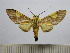  ( - BEVI1574)  @12 [ ] No Rights Reserved (2012) Benoit Vincent Research Collection of Benoit Vincent