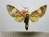  ( - BEVI1576)  @14 [ ] No Rights Reserved (2012) Benoit Vincent Research Collection of Benoit Vincent