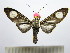  ( - BEVI1580)  @11 [ ] No Rights Reserved (2012) Benoit Vincent Research Collection of Benoit Vincent