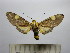  ( - BEVI1584)  @13 [ ] No Rights Reserved (2012) Benoit Vincent Research Collection of Benoit Vincent
