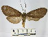  ( - BEVI1698)  @13 [ ] No Rights Reserved  Unspecified Unspecified