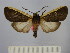  ( - BEVI1766)  @13 [ ] No Rights Reserved  Unspecified Unspecified