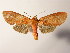  ( - BEVI1876)  @14 [ ] Unspecified (default): All Rights Reserved  Unspecified Unspecified