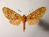  ( - BEVI1883)  @13 [ ] Unspecified (default): All Rights Reserved  Unspecified Unspecified