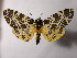  ( - BEVI1887)  @14 [ ] Unspecified (default): All Rights Reserved  Unspecified Unspecified