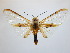  ( - BEVI2262)  @11 [ ] No Rights Reserved (2020) Benoit VINCENT Unspecified