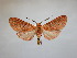  ( - BEVI2316)  @11 [ ] No Rights Reserved (2020) Benoit VINCENT Unspecified