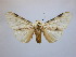  ( - BEVI2328)  @11 [ ] No Rights Reserved (2020) Benoit VINCENT Unspecified