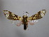 ( - BEVI2380)  @11 [ ] No Rights Reserved (2022) Benoit VINCENT Unspecified