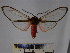  ( - BEVI1622)  @12 [ ] No Rights Reserved (2012) Benoit Vincent Research Collection of Benoit Vincent