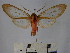  ( - BEVI1626)  @12 [ ] No Rights Reserved (2012) Benoit Vincent Research Collection of Benoit Vincent