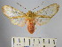  ( - BEVI1683)  @13 [ ] No Rights Reserved (2012) Benoit Vincent Research Collection of Benoit Vincent
