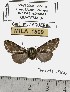  ( - MILA 1509)  @12 [ ] Unspecified (default): All Rights Reserved  Unspecified Unspecified
