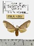  ( - MILA 1553)  @12 [ ] Unspecified (default): All Rights Reserved  Unspecified Unspecified