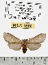  ( - MILA 1566)  @13 [ ] Unspecified (default): All Rights Reserved  Unspecified Unspecified