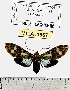  ( - MILA 1567)  @12 [ ] Unspecified (default): All Rights Reserved  Unspecified Unspecified