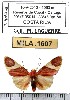  ( - MILA 1607)  @12 [ ] Copyright (2012) Michel Laguerre Research Collection of Michel Laguerre