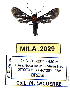  ( - MILA 2029)  @12 [ ] Unspecified (default): All Rights Reserved  Unspecified Unspecified
