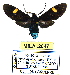  (Euplesia - MILA 2047)  @14 [ ] Unspecified (default): All Rights Reserved  Unspecified Unspecified