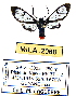  ( - MILA 2068)  @11 [ ] Unspecified (default): All Rights Reserved  Unspecified Unspecified