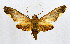  ( - MILA 2126)  @13 [ ] Unspecified (default): All Rights Reserved  Unspecified Unspecified