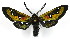  ( - MILA 2151)  @11 [ ] Unspecified (default): All Rights Reserved  Unspecified Unspecified