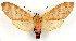 ( - MILA 2169)  @11 [ ] Unspecified (default): All Rights Reserved  Unspecified Unspecified