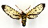  ( - MILA 2216)  @11 [ ] Unspecified (default): All Rights Reserved  Unspecified Unspecified